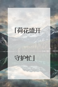 荷花盛开守护忙