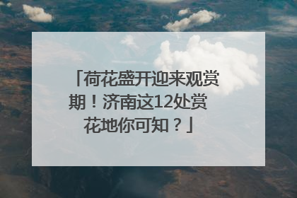 荷花盛开迎来观赏期！济南这12处赏花地你可知？