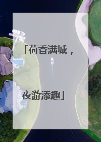 荷香满城，夜游添趣