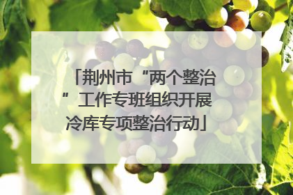 荆州市“两个整治”工作专班组织开展冷库专项整治行动