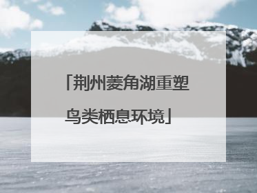 荆州菱角湖重塑鸟类栖息环境