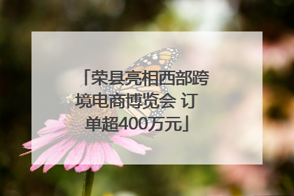 荣县亮相西部跨境电商博览会 订单超400万元
