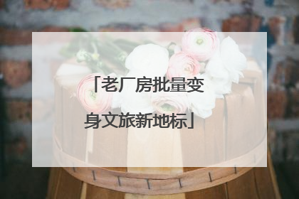 老厂房批量变身文旅新地标