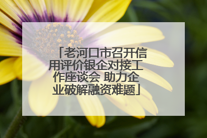 老河口市召开信用评价银企对接工作座谈会 助力企业破解融资难题
