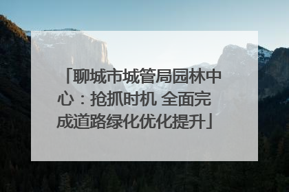 聊城市城管局园林中心：抢抓时机 全面完成道路绿化优化提升