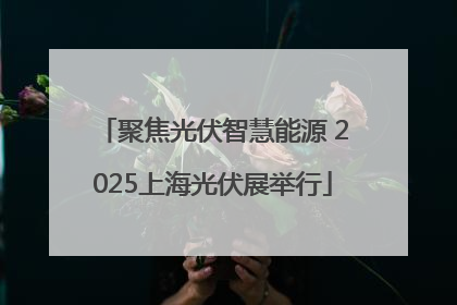 聚焦光伏智慧能源 2025上海光伏展举行