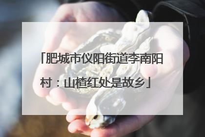 肥城市仪阳街道李南阳村：山楂红处是故乡