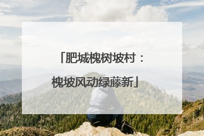 肥城槐树坡村：槐坡风动绿藤新