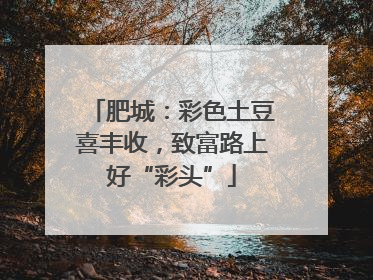 肥城：彩色土豆喜丰收，致富路上好“彩头”