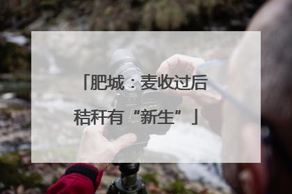 肥城：麦收过后秸秆有“新生”