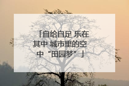 自给自足 乐在其中 城市里的空中“田园梦”