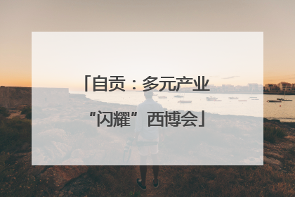 自贡：多元产业“闪耀”西博会