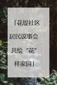 花堤社区居民议事会共绘“花”样家园