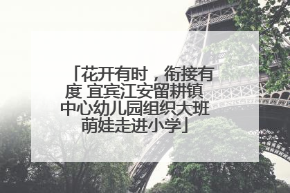 花开有时，衔接有度 宜宾江安留耕镇中心幼儿园组织大班萌娃走进小学