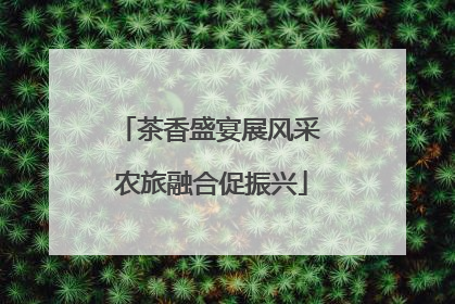 茶香盛宴展风采 农旅融合促振兴