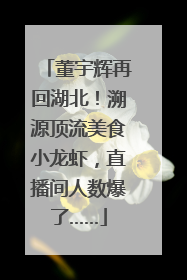 董宇辉再回湖北！溯源顶流美食小龙虾，直播间人数爆了……