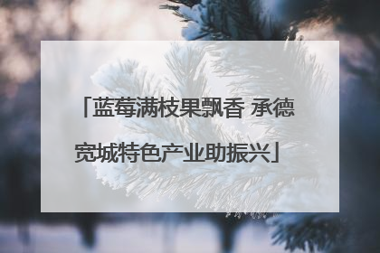 蓝莓满枝果飘香 承德宽城特色产业助振兴