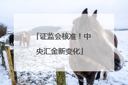 证监会核准！中央汇金新变化