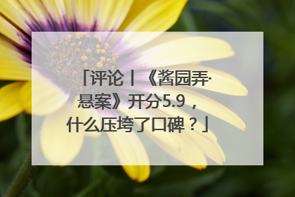 评论丨《酱园弄·悬案》开分5.9，什么压垮了口碑？