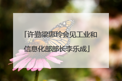许勤梁惠玲会见工业和信息化部部长李乐成