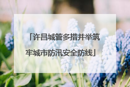 许昌城管多措并举筑牢城市防汛安全防线