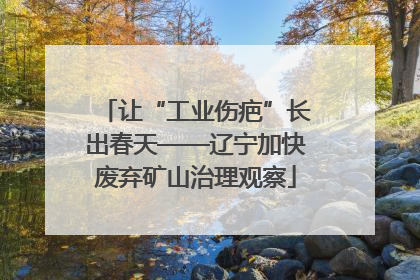 让“工业伤疤”长出春天——辽宁加快废弃矿山治理观察