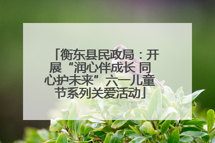衡东县民政局：开展“润心伴成长 同心护未来”六一儿童节系列关爱活动