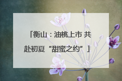 衡山：油桃上市 共赴初夏“甜蜜之约”