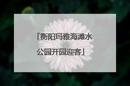衡阳玛雅海滩水公园开园迎客