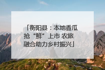 衡阳县：本地香瓜抢“鲜”上市 农旅融合助力乡村振兴