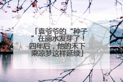 袁爷爷的“种子”在丽水发芽了！四年后，他的禾下乘凉梦这样延续
