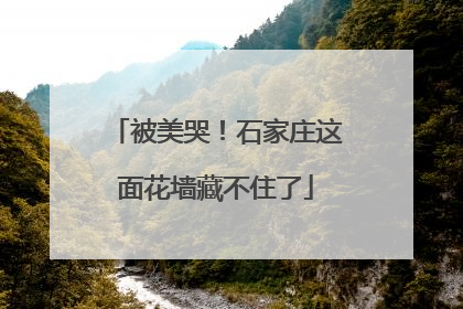 被美哭！石家庄这面花墙藏不住了