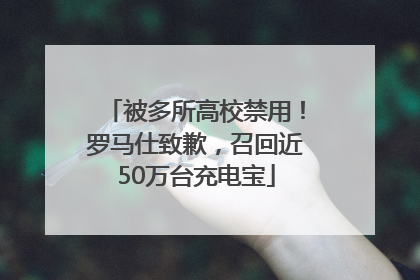 被多所高校禁用！罗马仕致歉，召回近50万台充电宝