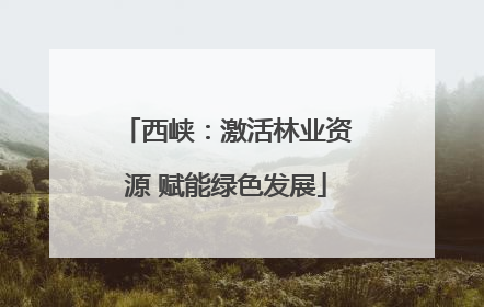 西峡：激活林业资源 赋能绿色发展