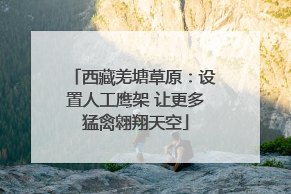 西藏羌塘草原：设置人工鹰架 让更多猛禽翱翔天空