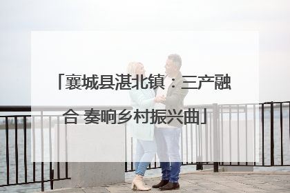 襄城县湛北镇：三产融合 奏响乡村振兴曲