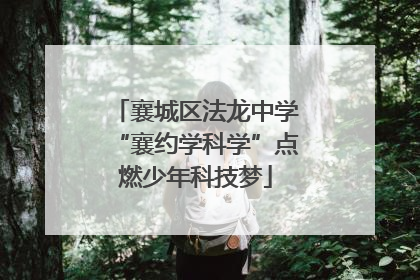 襄城区法龙中学“襄约学科学”点燃少年科技梦