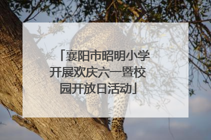 襄阳市昭明小学开展欢庆六一暨校园开放日活动