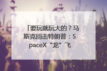 要玩就玩大的？马斯克回击特朗普：SpaceX“龙”飞船将立即退役！