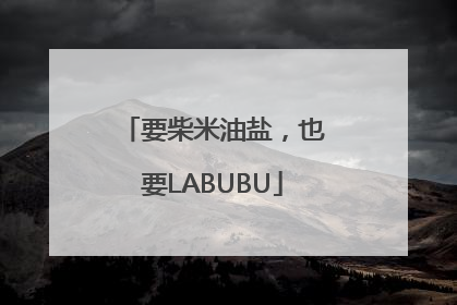 要柴米油盐，也要LABUBU