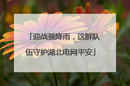 迎战强降雨，这群队伍守护湖北电网平安