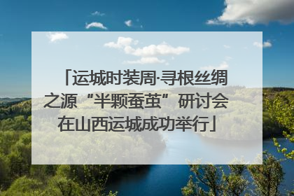 运城时装周·寻根丝绸之源“半颗蚕茧”研讨会在山西运城成功举行