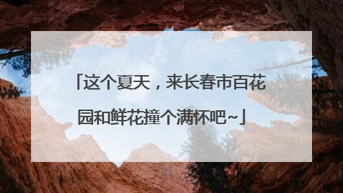 这个夏天，来长春市百花园和鲜花撞个满怀吧~