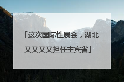 这次国际性展会，湖北又又又又担任主宾省