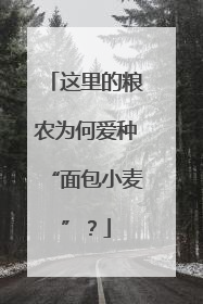 这里的粮农为何爱种“面包小麦”？