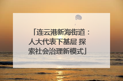 连云港新海街道：人大代表下基层 探索社会治理新模式