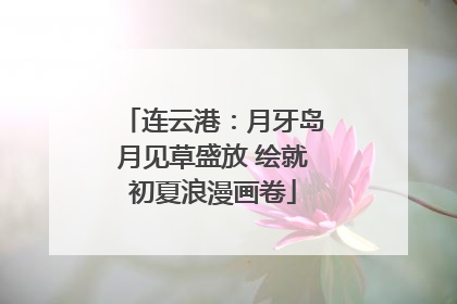 连云港:月牙岛月见草盛放 绘就初夏浪漫画卷