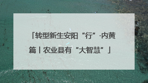 转型新生安阳“行”·内黄篇丨农业县有“大智慧”