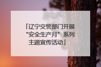 辽宁交警部门开展“安全生产月”系列主题宣传活动