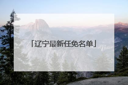 辽宁最新任免名单